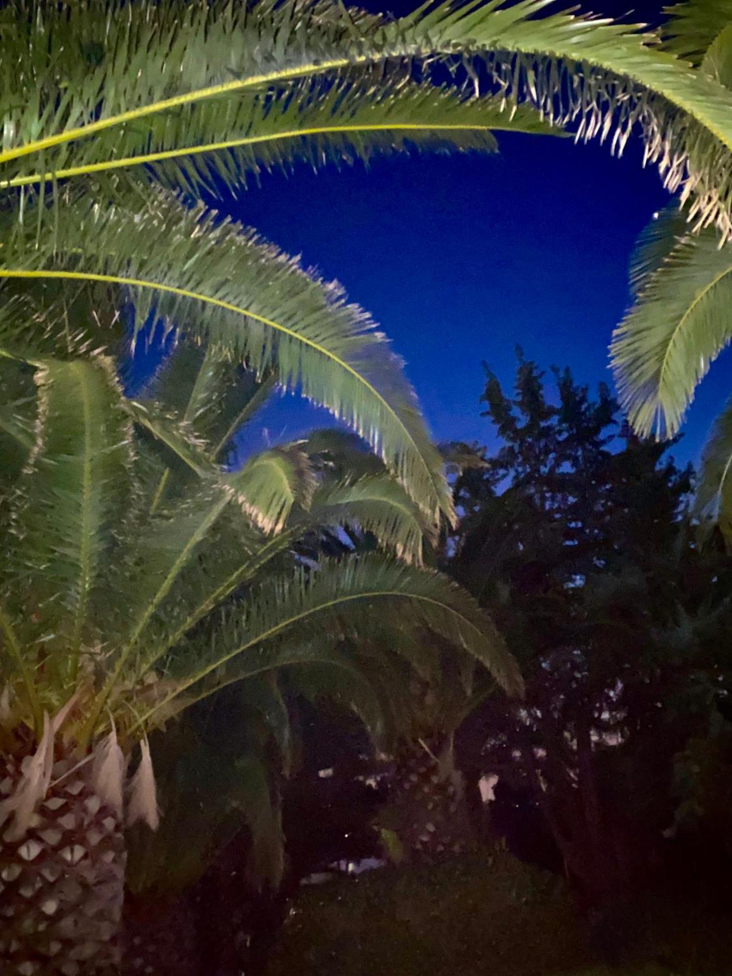Hotel I Ginepri Quartucciu Exteriér fotografie
